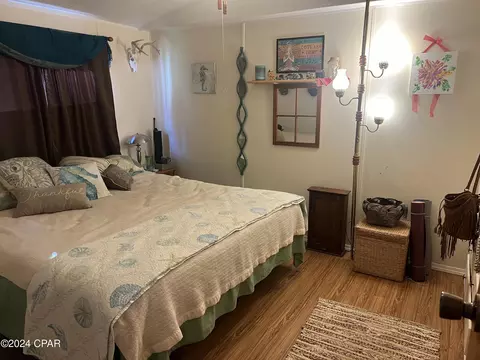 7633 Parramore Rd, Sneads, FL 32460 photo 3