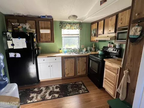 7633 Parramore Rd, Sneads, FL 32460 photo 2