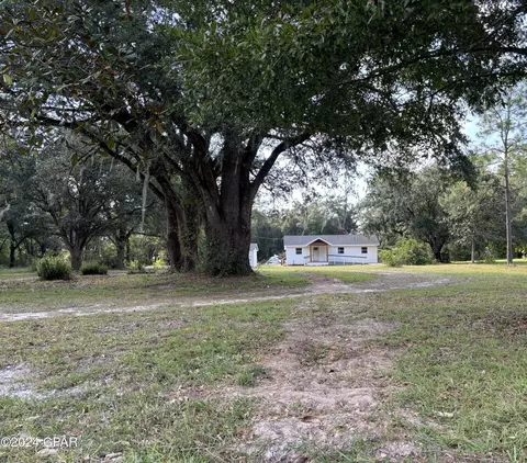 15587 NE New Market Rd, Hosford, FL 32334