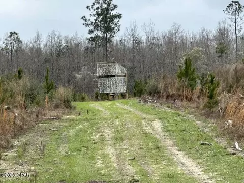 3934 Sand Path Rd #TRACT6405, Bonifay, FL 32425