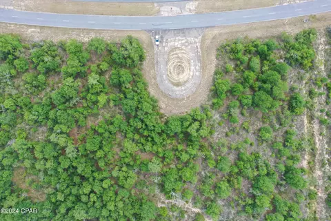 View/Area - lot3 Brewton Dr, Chipley, FL 32428 photo 4 of 7