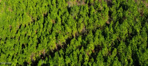 tbd NW Willow Bnd, Altha, FL 32421