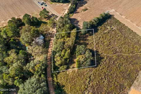 Nnn Leamon Smith Road, Bonifay, FL 32425