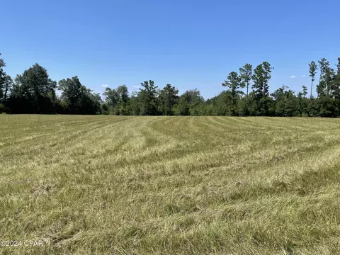 Other - 2194 Bethlehem Rd, Cottondale, FL 32431 photo 2 of 7