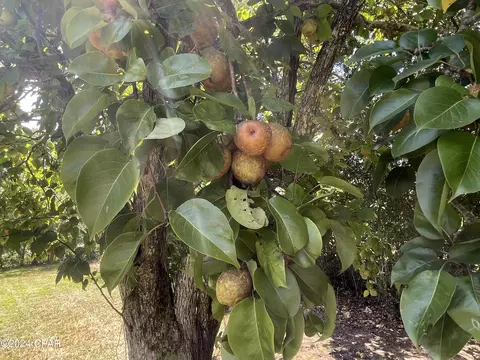 Other - 2194 Bethlehem Rd, Cottondale, FL 32431 photo 1 of 7