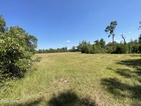 2194 Bethlehem Rd # A, Cottondale, FL 32431 photo 6