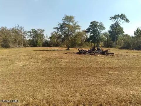 21002 NW Willow Bend Rd, Altha, FL 32421