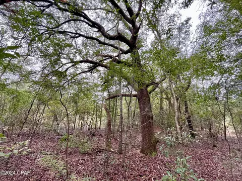 lot12 Janet Cir, Chipley, FL 32428