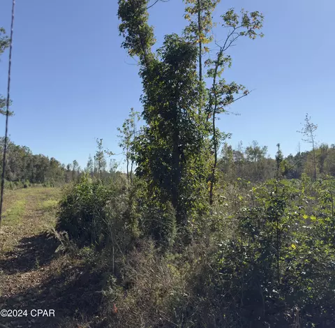 00 Oak Grove Rd, Bascom, FL 32423 photo 2