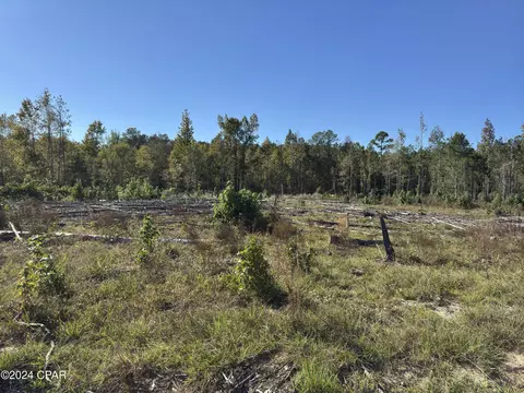 00 Oak Grove Rd, Bascom, FL 32423 photo 5
