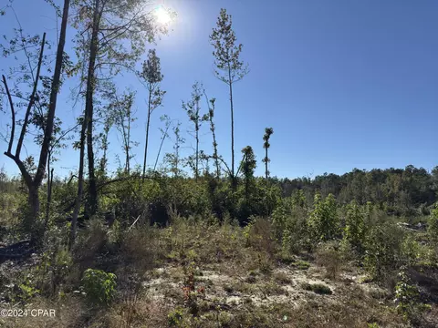 00 Oak Grove Rd, Bascom, FL 32423 photo 3