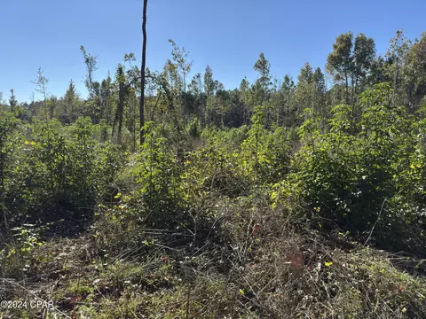 00 Oak Grove Rd, Bascom, FL 32423 photo 4