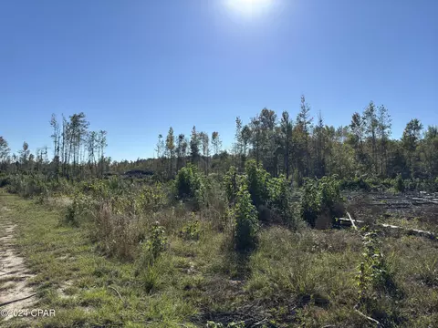 00 Oak Grove Rd, Bascom, FL 32423