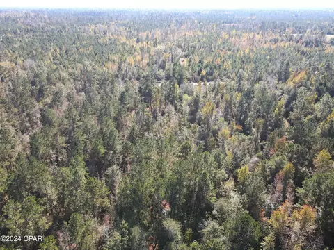 0 Old Spanish Trl, Marianna, FL 32447