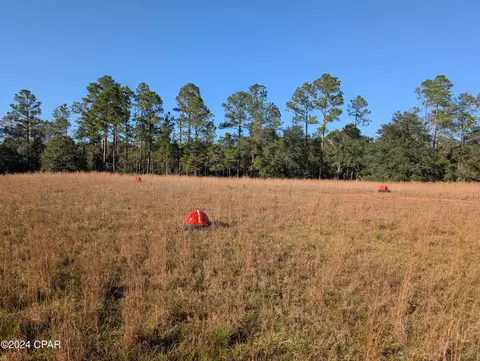 0 Robert Murphy Rd, Bonifay, FL 32425