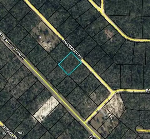 lot12 Papaya Dr #3, Marianna, FL 32448