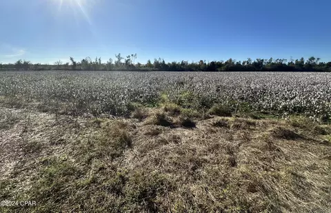 0 NE John Redd Rd, Blountstown, FL 32424