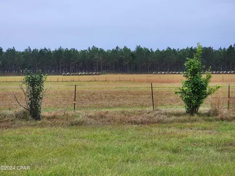 4900 Kings Rd, Bascom, FL 32423 photo 4