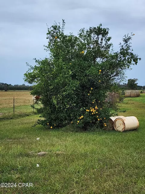 4900 Kings Rd, Bascom, FL 32423 photo 5