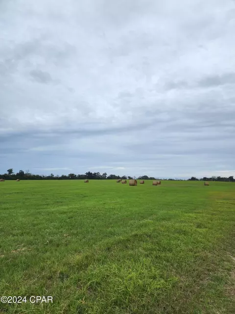4900 Kings Rd, Bascom, FL 32423 photo 3