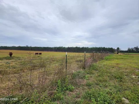 4900 Kings Rd, Bascom, FL 32423 photo 6