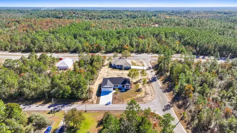 1821 Trellis Dr, Chipley, FL 32428 photo 44