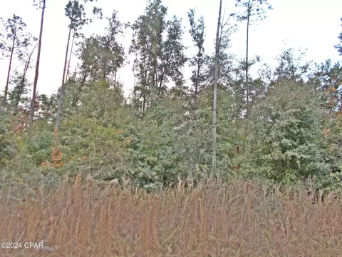 00 Green Rd, Greenwood, FL 32443