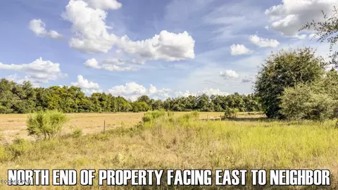 0 Neals Landing Rd, Bascom, FL 32423 photo 9