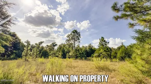 0 Neals Landing Rd, Bascom, FL 32423 photo 5