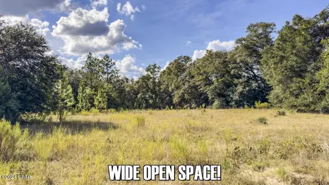 0 Neals Landing Rd, Bascom, FL 32423 photo 2