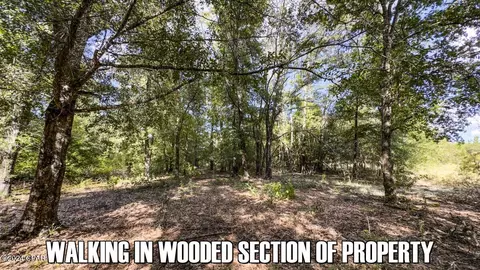 0 Neals Landing Rd, Bascom, FL 32423 photo 7