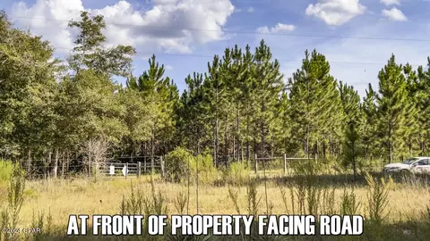 0 Neals Landing Rd, Bascom, FL 32423 photo 14