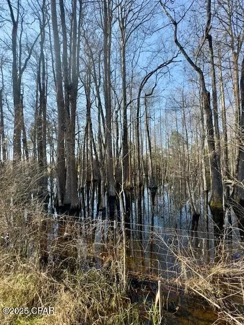 2342 Tiller Rd, Chipley, FL 32428 photo 46