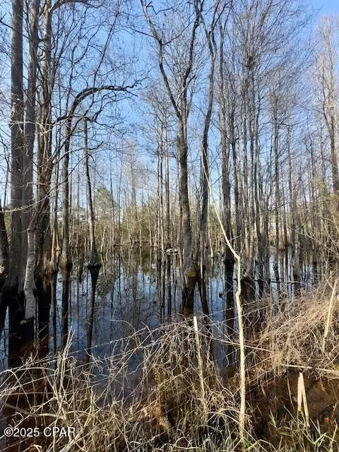 2342 Tiller Rd, Chipley, FL 32428 photo 48