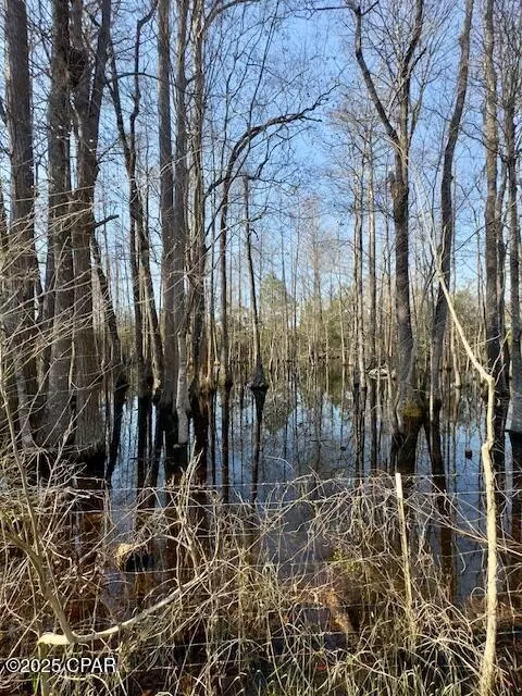 2342 Tiller Rd, Chipley, FL 32428 photo 47