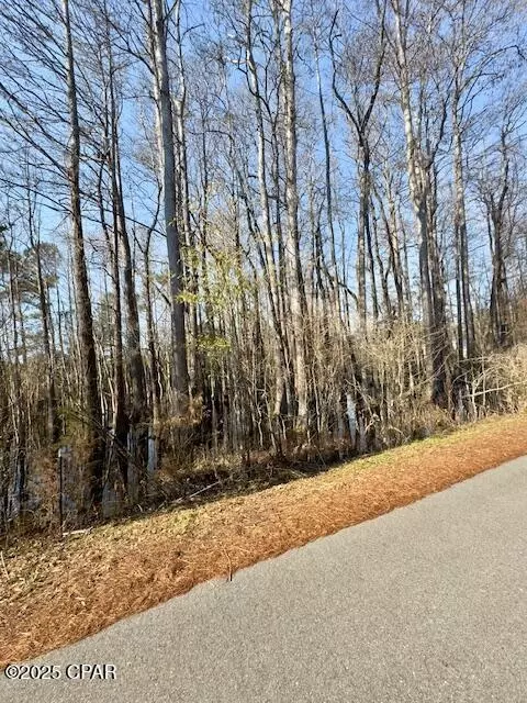2342 Tiller Rd, Chipley, FL 32428 photo 49