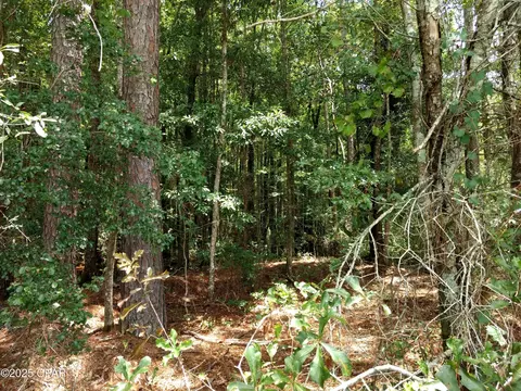 lot29 Beech Dr, Westville, FL 32464