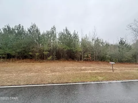00 Butler Rd, Grand Ridge, FL 32442