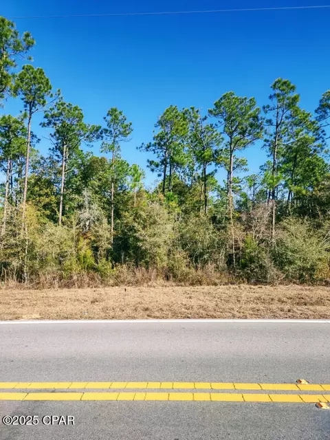 397 Coralvine Dr, Chipley, FL 32428