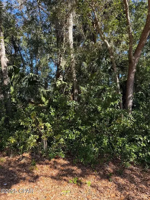 tbd 4th St, Apalachicola, FL 32320
