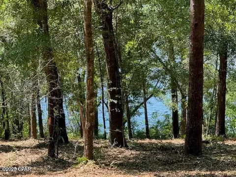 tbd Dove Ct, Chipley, FL 32428