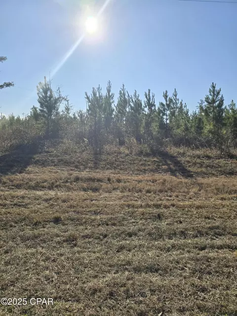 tbd Lot 2 Peanut Rd, Cottondale, FL 32431