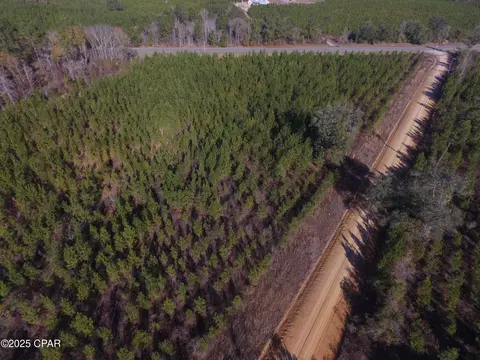 tbd Lot 4 Peanut Rd, Cottondale, FL 32431
