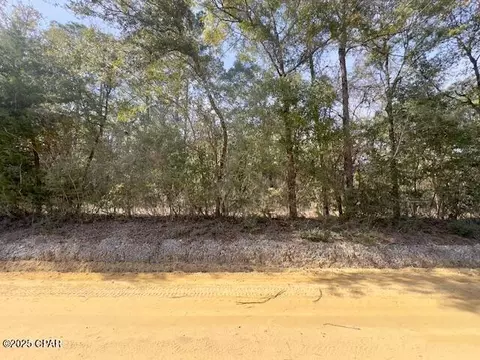 Nnn Bryant Bay Road, Caryville, FL 32427