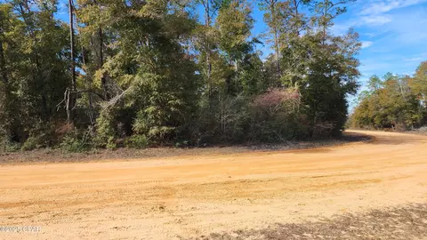 0 Breese Ct #LOT 29, Alford, FL 32420