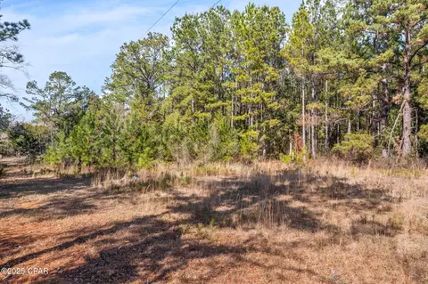 000 Jericho Ln, Chipley, FL 32428 photo 10