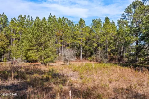 000 Jericho Ln, Chipley, FL 32428 photo 9
