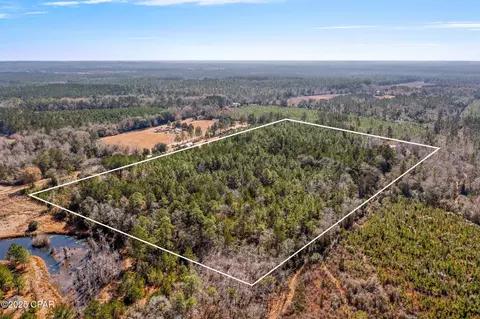 000 Jericho Ln, Chipley, FL 32428 photo 4
