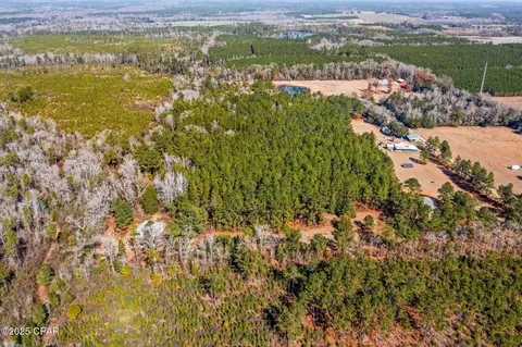 000 Jericho Ln, Chipley, FL 32428 photo 17