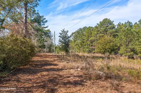 000 Jericho Ln, Chipley, FL 32428 photo 8